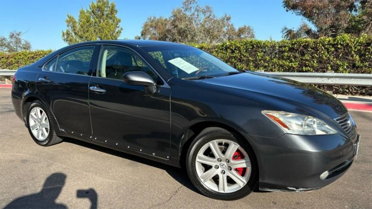 download - 2026-02-03T120525.356