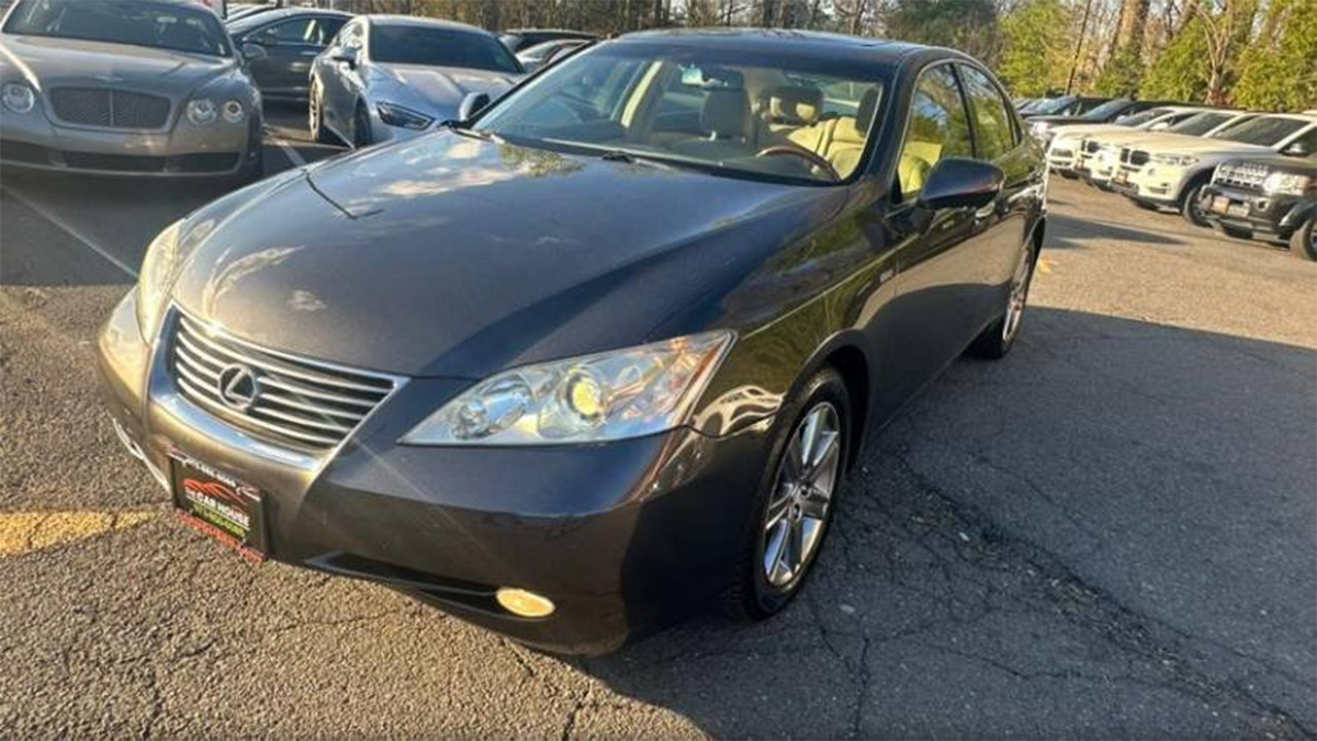 download - 2026-02-03T121748.987