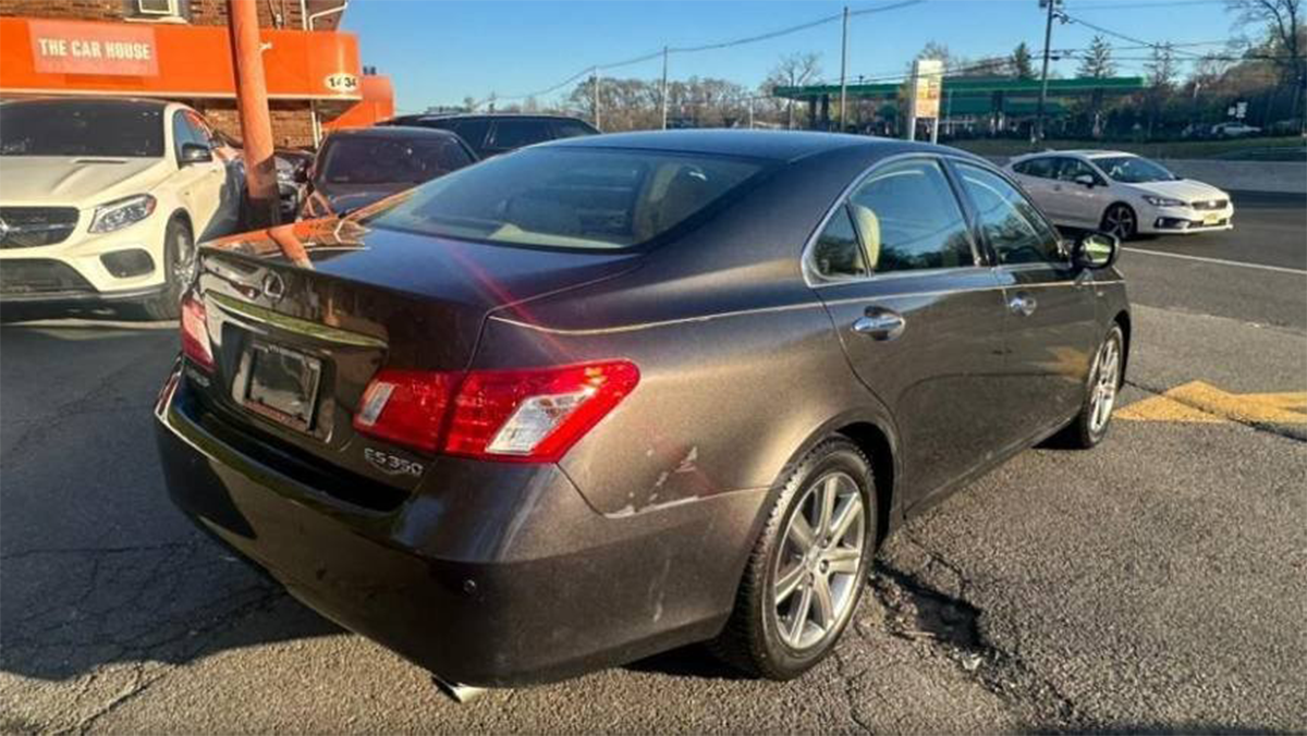 download - 2026-02-03T121806.342