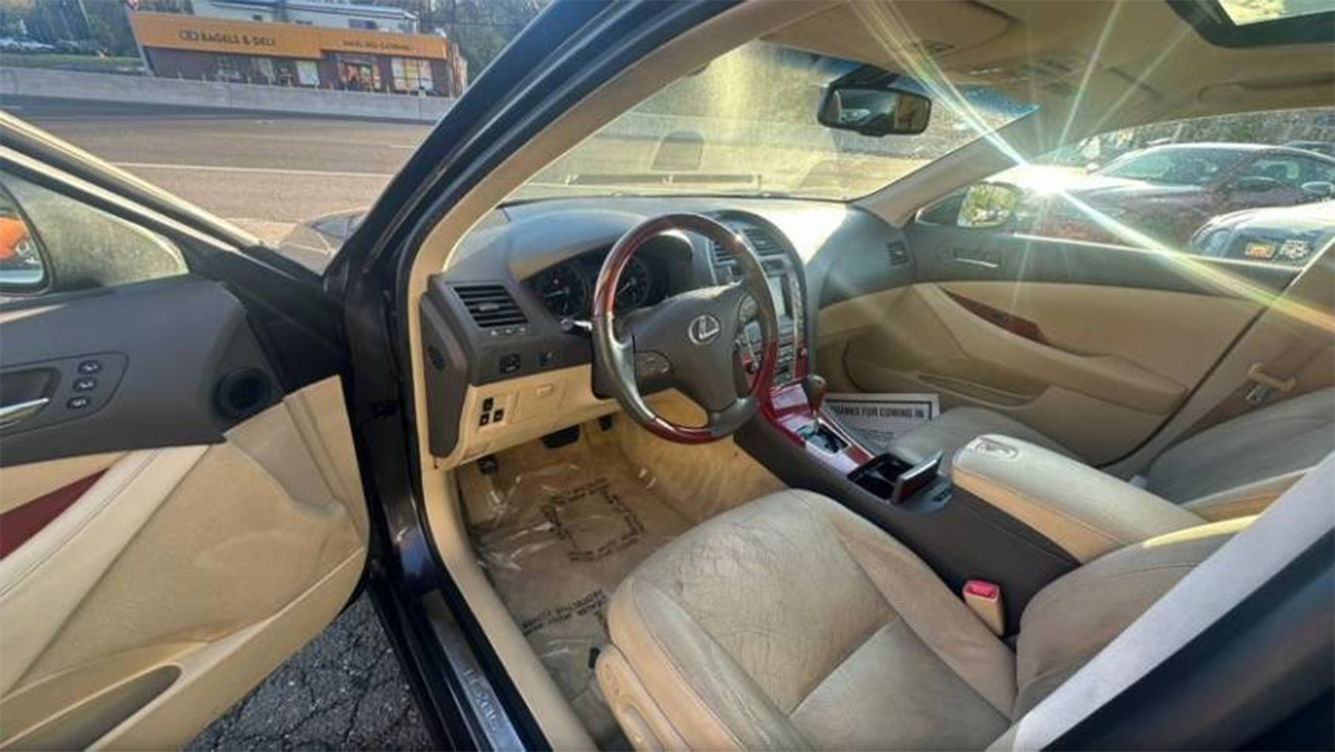 download - 2026-02-03T121814.741