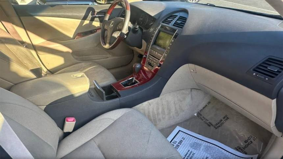 download - 2026-02-03T121822.528