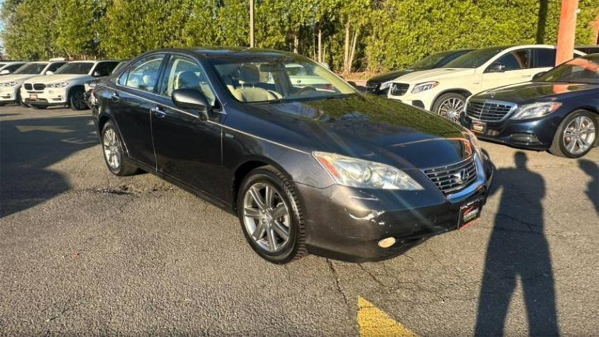 download - 2026-02-03T121829.875